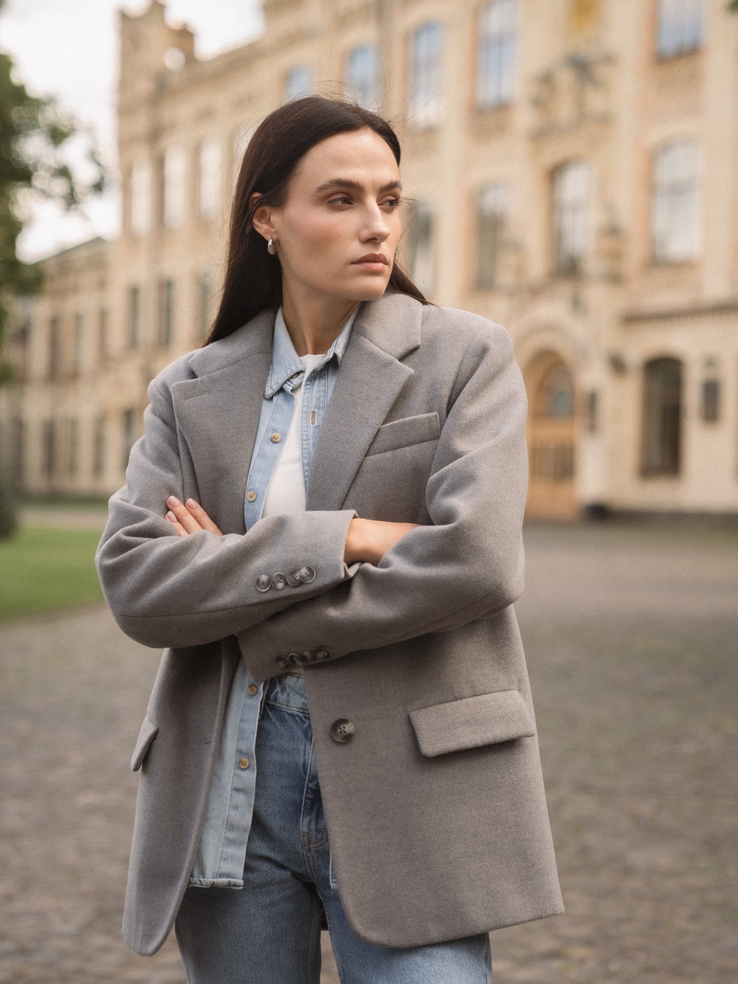 Single-breasted wool jacket, Gray